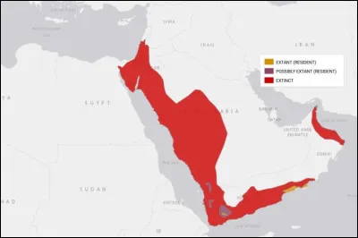 Quelles sont les plus grandes menaces pour la survie du l&eacute;opard d�Arabie ?