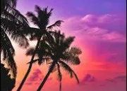 Quiz Culture g�n�rale - Plus ou moins ?