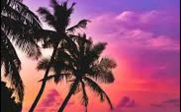 Quiz Culture g�n�rale