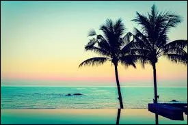 Les premiers ordinateurs avaient __ de deux &eacute;crans.