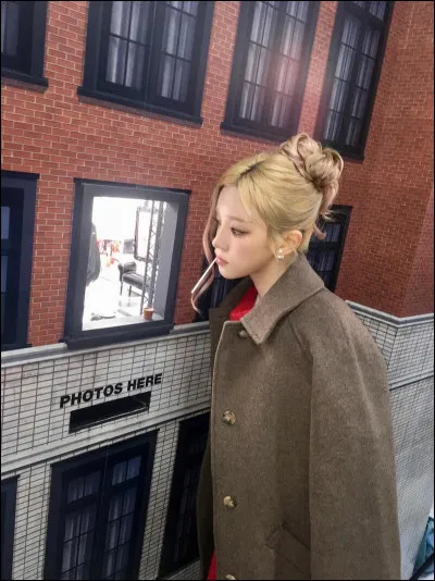 En quelle ann&eacute;e est-elle entr&eacute;e dans le groupe I-dle ?