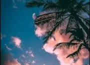 Quiz Culture g�n�rale - Plus ou moins ? (4)