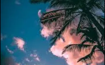 Quiz Culture g�n�rale