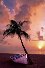 Le plus long roman du monde fait ___ de 1 million de mots.