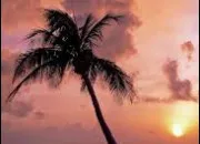 Quiz Culture g�n�rale - Plus ou moins ? (8)