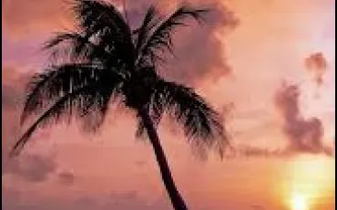 Quiz Culture g�n�rale