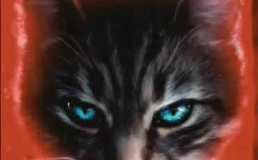 Quiz Test de personnalit�