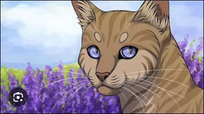 3 compagnes . 2 de perdues . Une dont je n'ai jamais &eacute;prouv&eacute; de sentiments. Mes chatons ont grandi , ont eu des chatons &agrave; leur tour qui ont eu des chatons &agrave; leur tour . Mais aucun d'eux ne m'aime . Qui suis-je ?