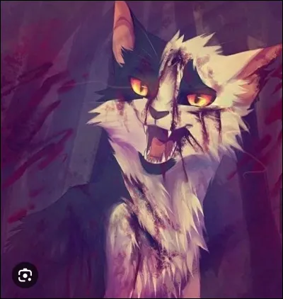 Si je pouvais te dire 2 choses , je te dirais en premier que je te d&eacute;teste. Tu m'as fait croire que tu &eacute;tais mon ami ! Mon ami ! Et tu m'as menti ! Tu connaissais la v&eacute;rit&eacute; , et tu m'en as fait croire le contraire .D'un deuxi&egrave;me cas , je suis d&eacute;sol&eacute; . D&eacute;sol&eacute; d'avoir bris&eacute; notre seule union . Mais je pr&eacute;f&egrave;re ma vie sans toi . Je pr&eacute;f&egrave;re ma vie sans personne .Qui suis-je ?