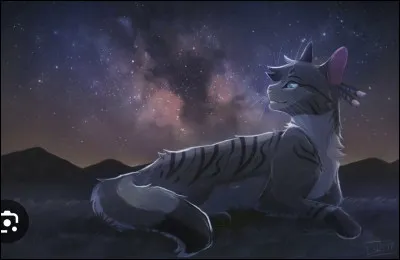 J'ai toujours s&ucirc; qu'il existait . Je n'ai jamais baiss&eacute; les bras . On m'a insult&eacute; , critiqu&eacute; , mais , au fond, je savais ce qui &eacute;tais juste . Et voil&agrave; qu'aujourd'hui, tu es de nouveau fond&eacute; . &Agrave; ma m&eacute;moire .Qui suis-je ?