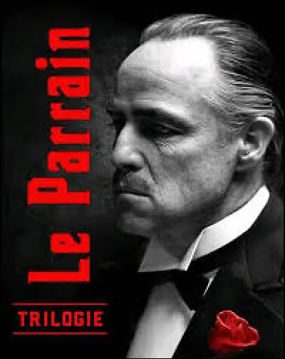 Qui a r&eacute;alis&eacute; la trilogie "Le Parrain" ?