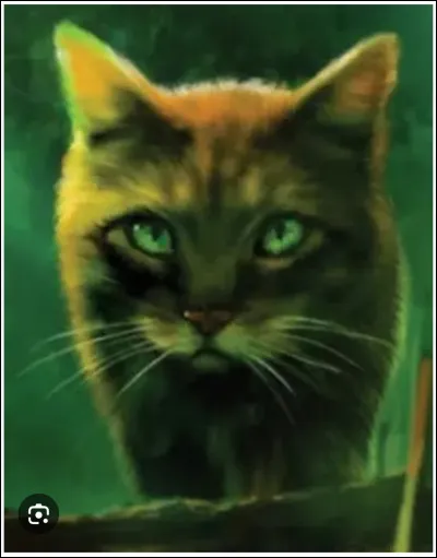 Qui est ce f&eacute;lin terrifiant ?