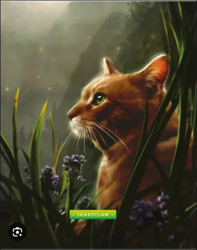 Qui est ce mignon petit f&eacute;lin ?