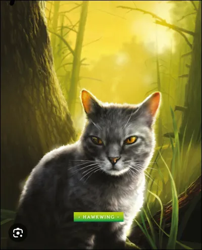 Et lui, qui est-ce ?