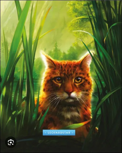 Mais qui &ccedil;a peut bien &ecirc;tre ?