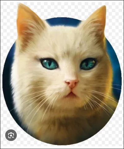 Elle est magnifique !