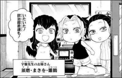 O&ugrave; travaillent les femmes de Tengen Uzui ?