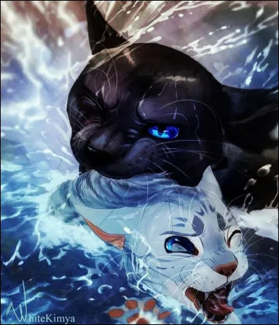 3. Je suis une chatte avec une personnalit&eacute; tr&egrave;s complexe et difficile &agrave; comprendre mais en r&eacute;alit&eacute; m&ecirc;me si je semble ne pas avoir de personnalit&eacute; je suis sans doute le chat qui en a le plus dans lgdc. Qui suis-je ?