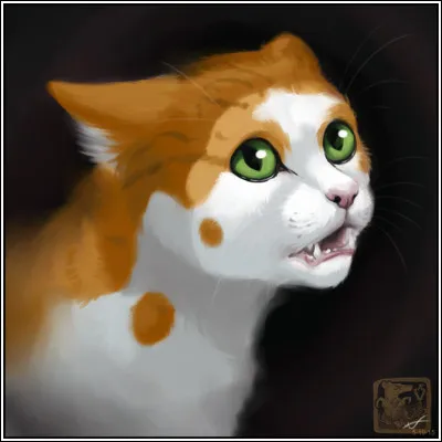 15. Je suis la toute premi&egrave;re meneuse des clans et ma fille est la 1&egrave;re gu&eacute;risseuse, qui suis-je ?