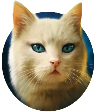 12. Ma m&egrave;re &eacute;tait une grande cheffe, je suis cheffe aussi. Je suis une clan m&ecirc;l&eacute;e. Qui suis-je ?