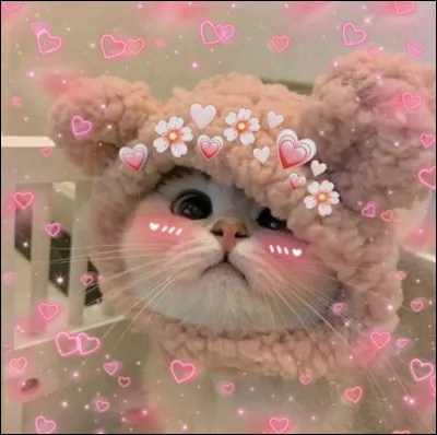 11. Ma m&egrave;re ne m'a jamais aim&eacute; mais je n'aurait plus jamais honte de qui je suis ni de mon apparence. Qui suis-je ?