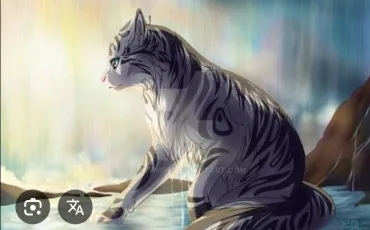 Quiz Test de personnalit�