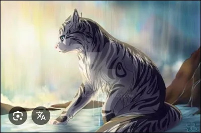 Tout d'abord, quel est ton physique ?