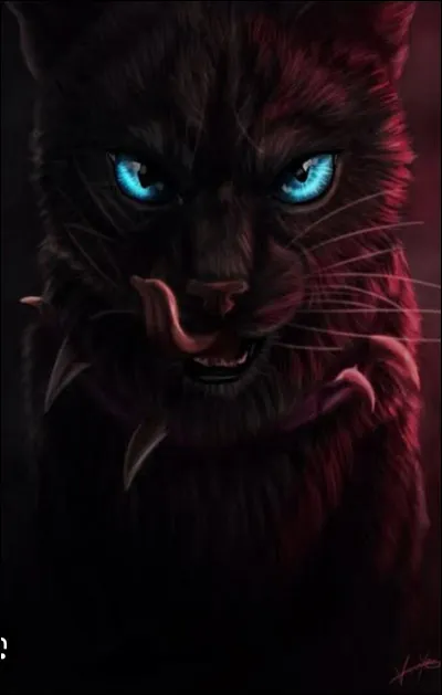 Un jour , ton Clan se fait attaquer par le Clan de l'Ombre ! Que fais-tu ?