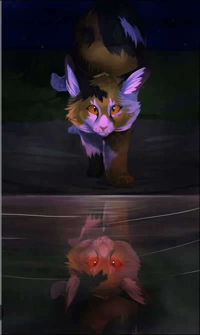 Ton chef , &Eacute;toile de la Buse , d&eacute;c&egrave;de suite &agrave; ses blessures. Que fais-tu ?