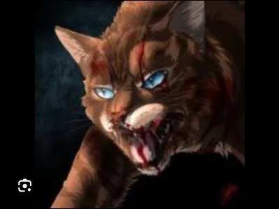 Ton nouveau chef , &Eacute;toile de Mulot , te donne tout le temps des ordres et te hurle dessus &agrave; chaque fois que tu te trompes . Que fais-tu ?