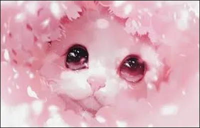 Grande cheffe du Clan du Tonnerre, j'ai d&ucirc; abandonner mes chatons pour sauver mon clan. L'un de mes chatons est mort, l'un a r&eacute;ussi &agrave; devenir chef et l'autre s'est fait assassiner. &Agrave; la fin de ma vie, j'ai perdu la raison &agrave; cause d'une trahison mais j'ai sauv&eacute; mon successeur.Je suis...