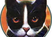 Quiz Quiz sur �toile Filante dans ''La Guerre des clans''