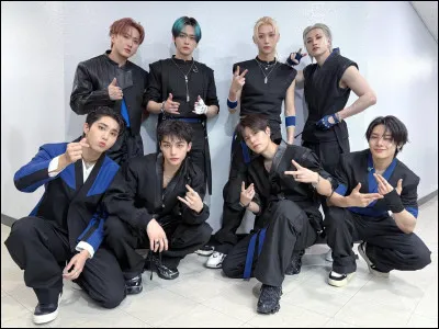 S - Stray Kids : Quel prix n'ont-ils jamais gagn&eacute; ? (De 2018 &agrave; 2025)