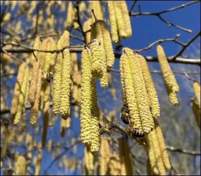 Quantit&eacute; qui compte pour du beurre !