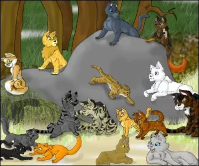 Aimes-tu te battre ?