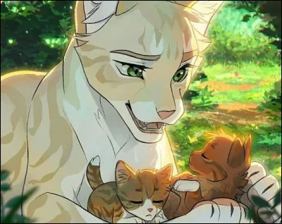 Aimerais-tu avoir des chatons ?