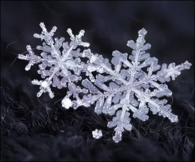 Qui a observ&eacute; en premier que le flocon de neige comporte g&eacute;n&eacute;ralement six branches ?