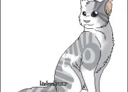 Test Quelle est la 1�re partie de ton nom dans 'LGDC' ?