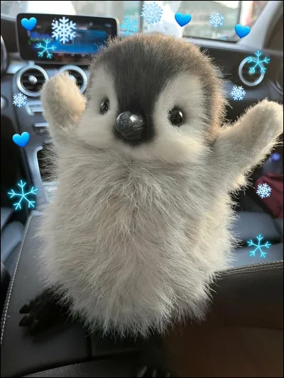 Tu veux que ton nom dans 'LGDC' refl&egrave;te...