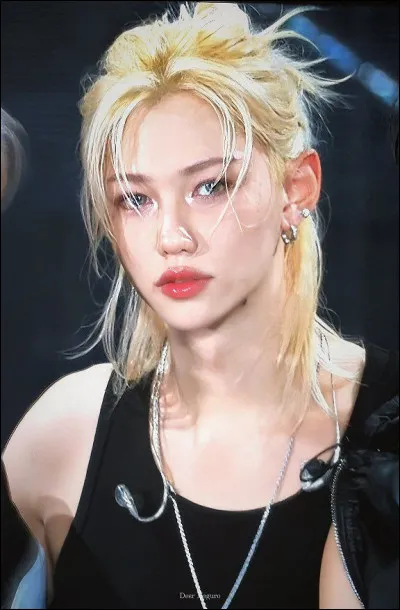 Combien de membres compte Stray Kids actuellement (Janvier 2026) ?