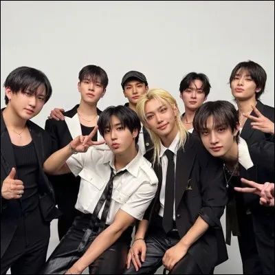 Quel est le fandom officiel de Stray Kids ?