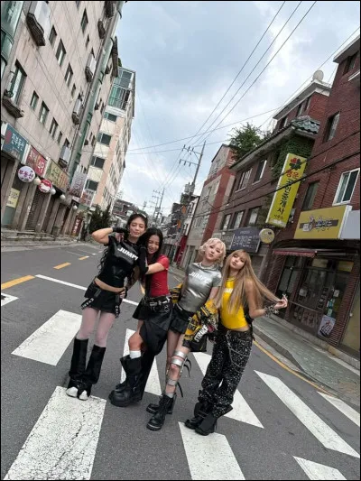 Quel est le concept principal de Blackpink ?