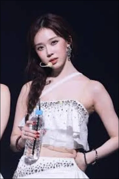 Quel est son animal repr&eacute;sentatif ?