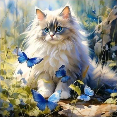 Dans la tradition musulmane, le chat a une image :