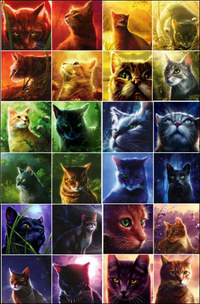 Qui est son compagnon ?