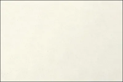 Il en existe en blanc ?