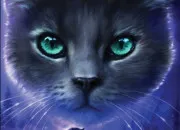 Test Ta vie de guerrier dans ''LGDC''