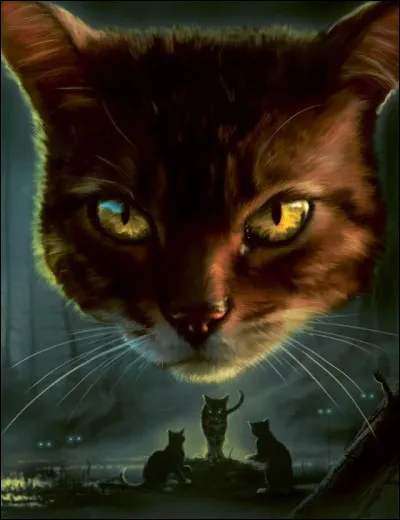 Es-tu un m&acirc;le ou une femelle ?