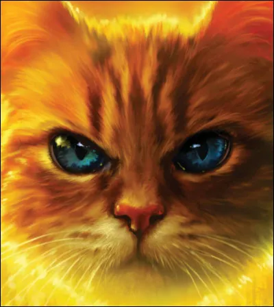 Quel nom de chat m&acirc;le pr&eacute;f&egrave;res-tu parmi ceux l&agrave; ?