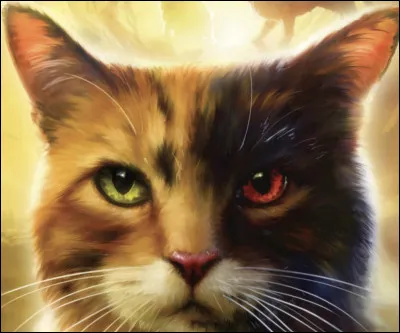 Quel nom de chat femelle pr&eacute;f&egrave;res-tu parmi ceux-l&agrave; ?